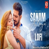 Sanam Aa Gaya   Lofi Mix